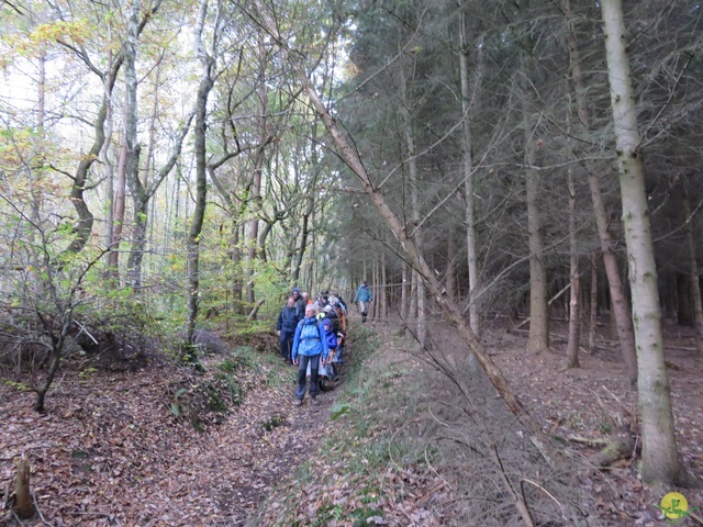 Randonnée joëlettes à Hermalle