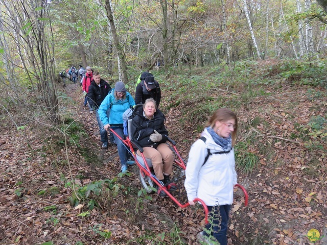 Randonnée joëlettes à Hermalle