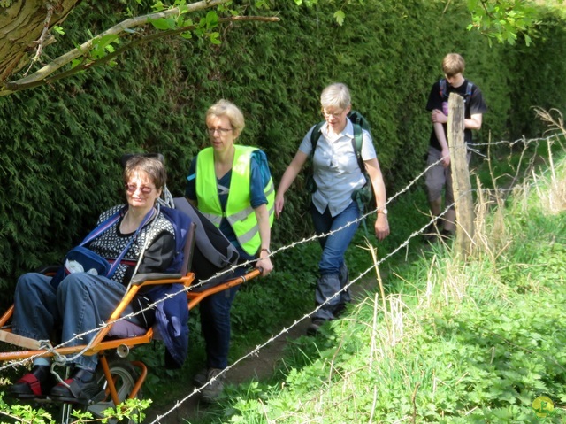 Randonnée joëlettes à Braine-le-Château