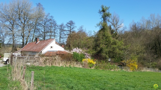 Randonnée joëlettes à Braine-le-Château