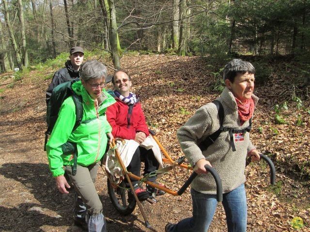 Randonnée joëlettes à Solwaster