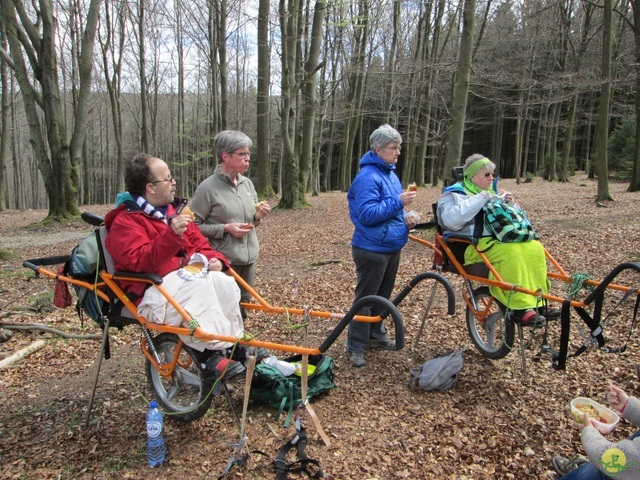 Randonnée joëlettes à Solwaster