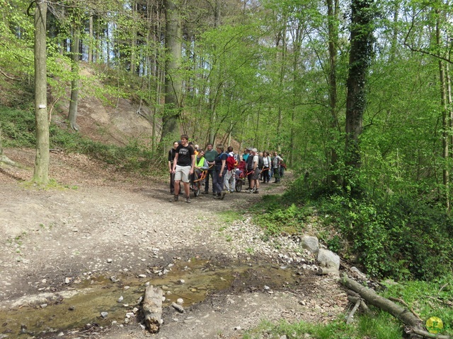 Randonnée joëlettes à Villers-la-Ville