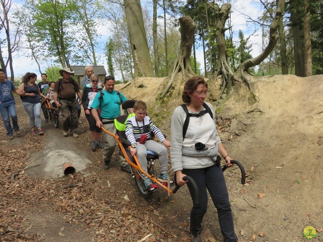 Randonnée joëlettes à Villers-la-Ville