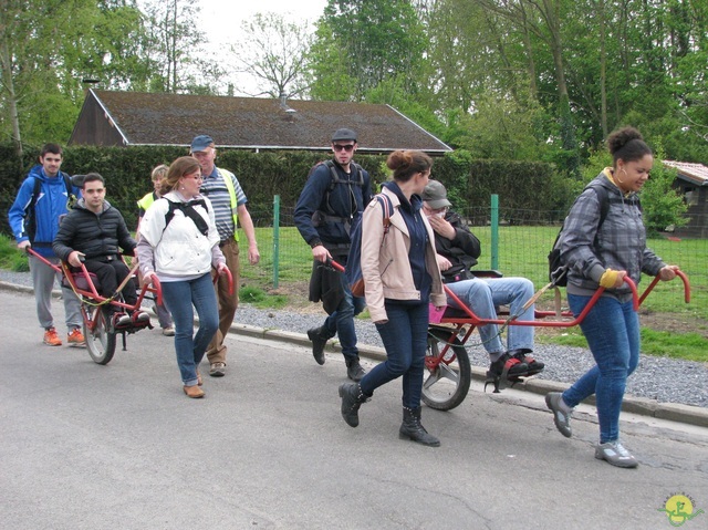 Randonnée joëlettes à Oleye