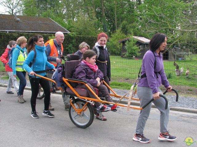 Randonnée joëlettes à Oleye