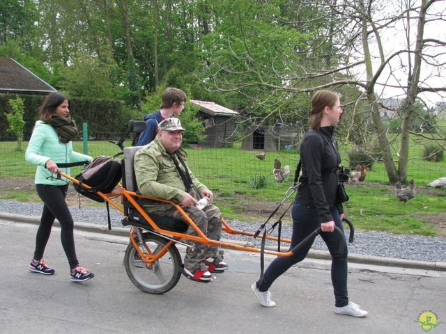 Randonnée joëlettes à Oleye