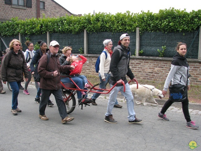 Randonnée joëlettes à Oleye