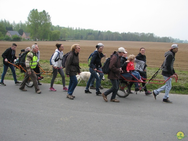 Randonnée joëlettes à Oleye