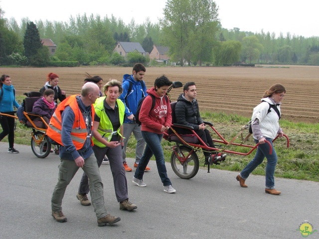 Randonnée joëlettes à Oleye