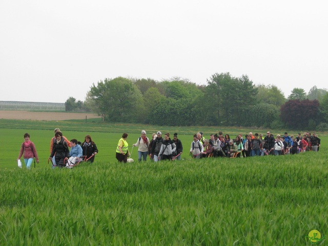 Randonnée joëlettes à Oleye