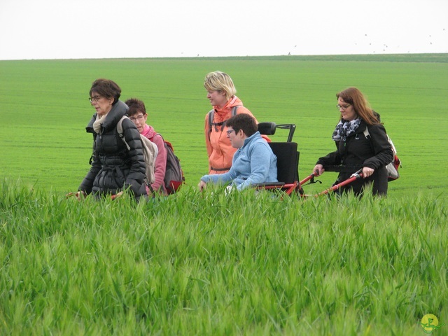 Randonnée joëlettes à Oleye