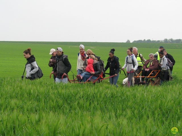 Randonnée joëlettes à Oleye