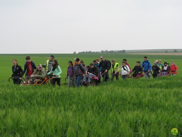 Randonnée joëlettes à Oleye