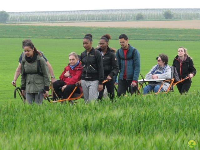 Randonnée joëlettes à Oleye