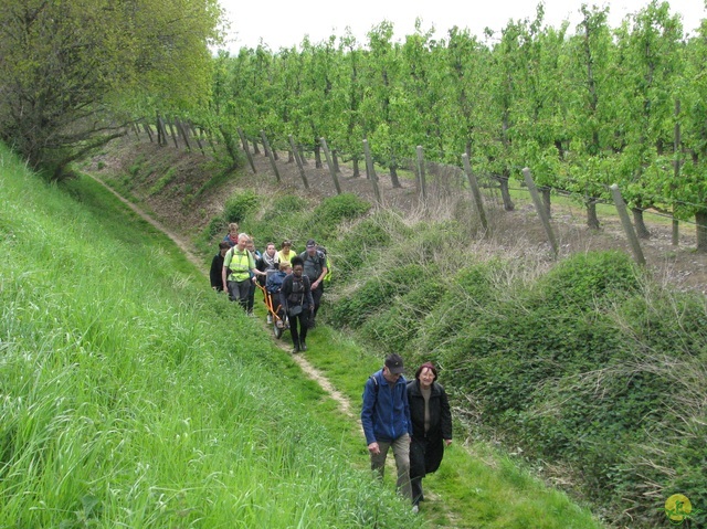 Randonnée joëlettes à Oleye