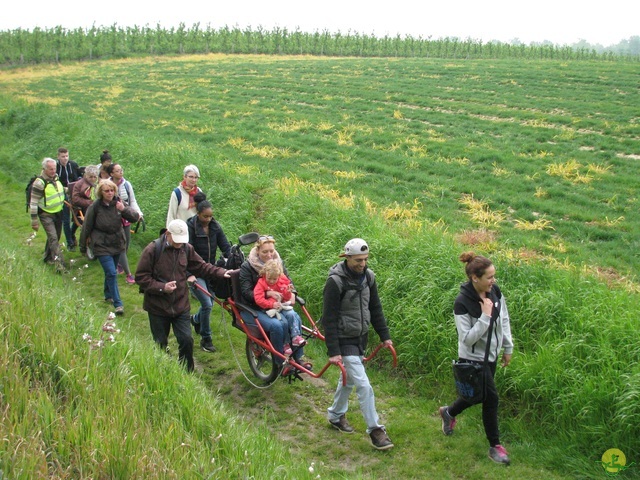 Randonnée joëlettes à Oleye