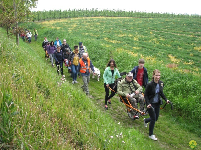 Randonnée joëlettes à Oleye