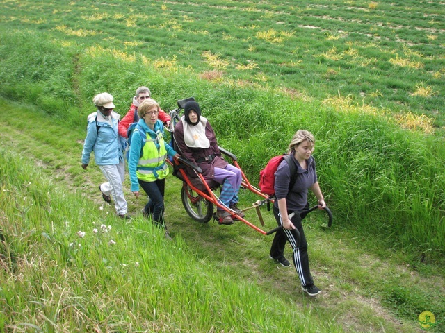 Randonnée joëlettes à Oleye