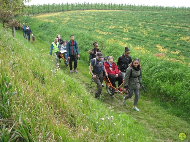 Randonnée joëlettes à Oleye