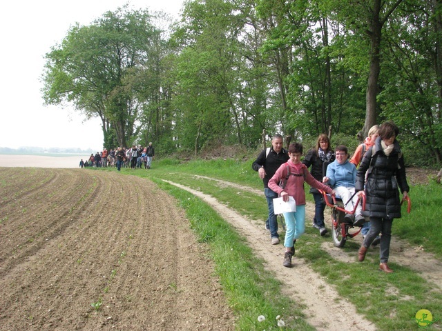 Randonnée joëlettes à Oleye