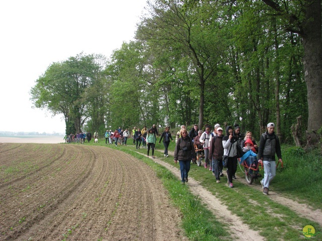 Randonnée joëlettes à Oleye