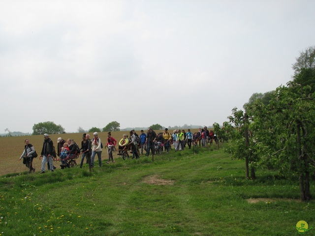 Randonnée joëlettes à Oleye