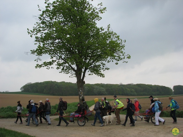 Randonnée joëlettes à Oleye