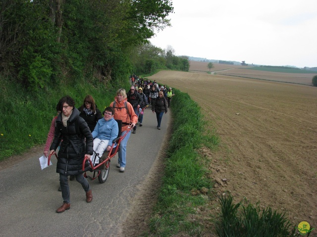 Randonnée joëlettes à Oleye