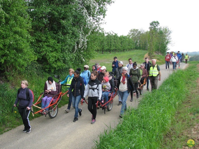 Randonnée joëlettes à Oleye