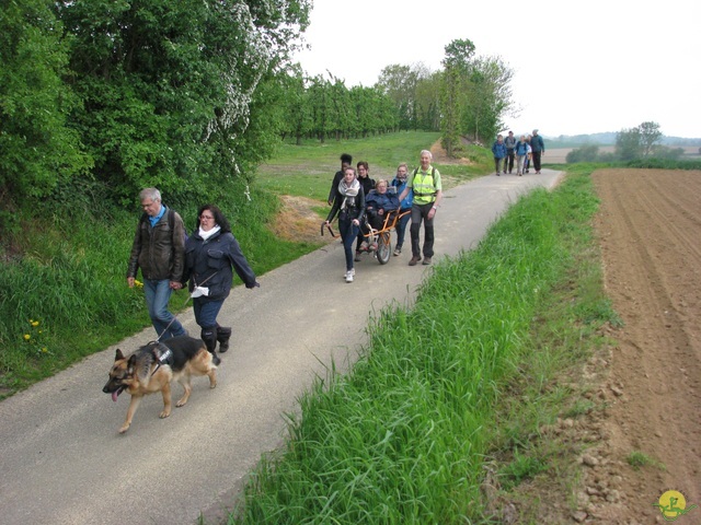 Randonnée joëlettes à Oleye