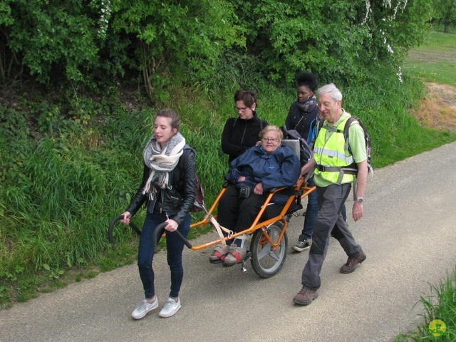 Randonnée joëlettes à Oleye