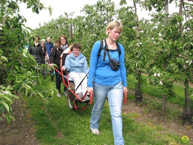 Randonnée joëlettes à Oleye