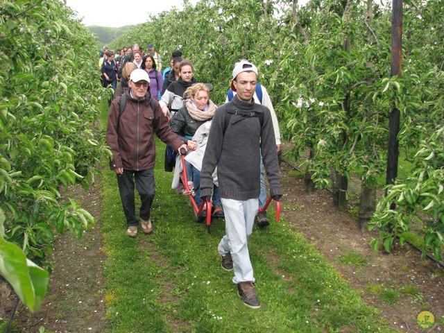 Randonnée joëlettes à Oleye