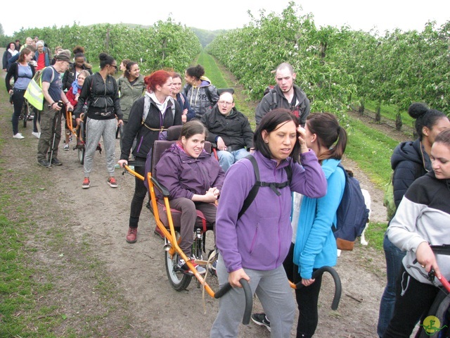 Randonnée joëlettes à Oleye