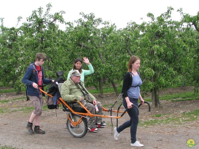 Randonnée joëlettes à Oleye