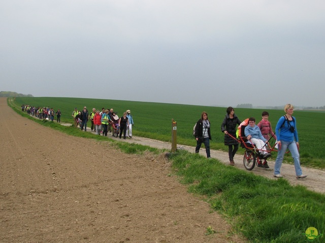 Randonnée joëlettes à Oleye