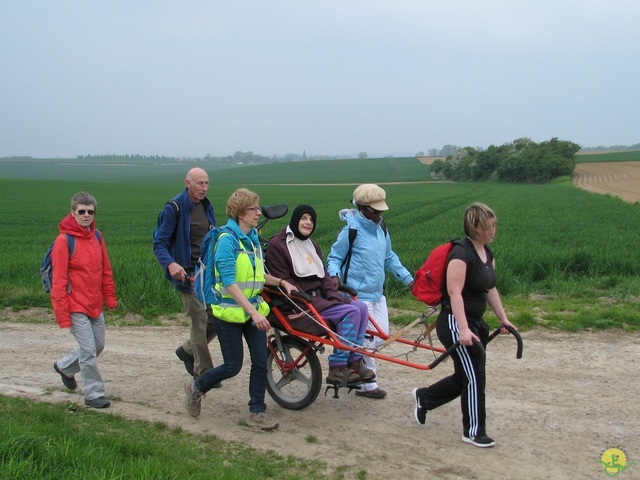 Randonnée joëlettes à Oleye