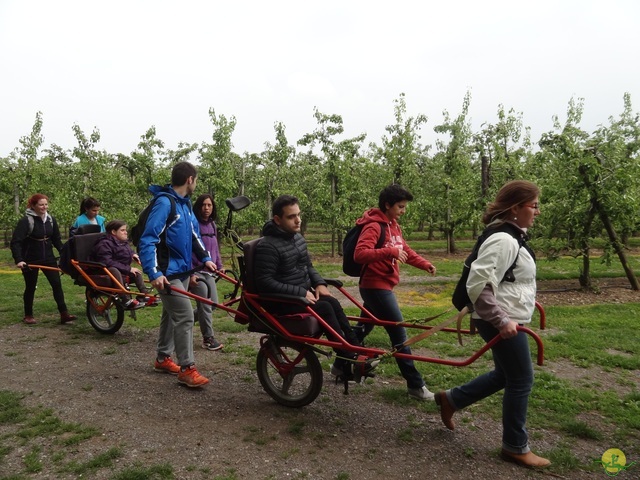 Randonnée joëlettes à Oleye