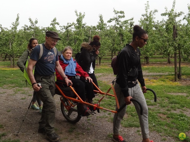 Randonnée joëlettes à Oleye