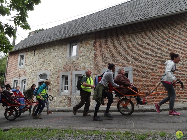 Randonnée joëlettes à Oleye