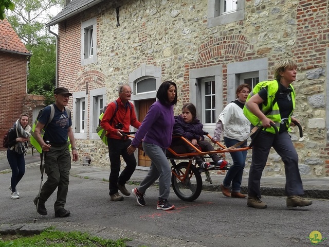 Randonnée joëlettes à Oleye