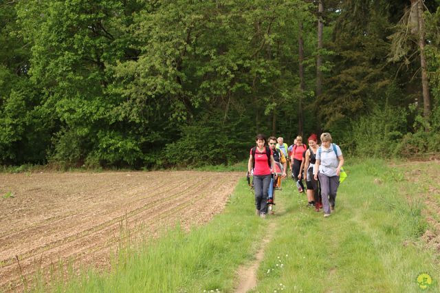 Randonnée joëlettes à Han-sur-Lesse