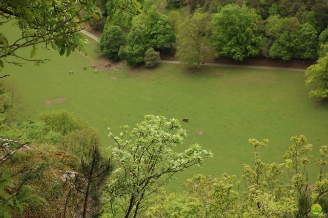 Randonnée joëlettes à Han-sur-Lesse