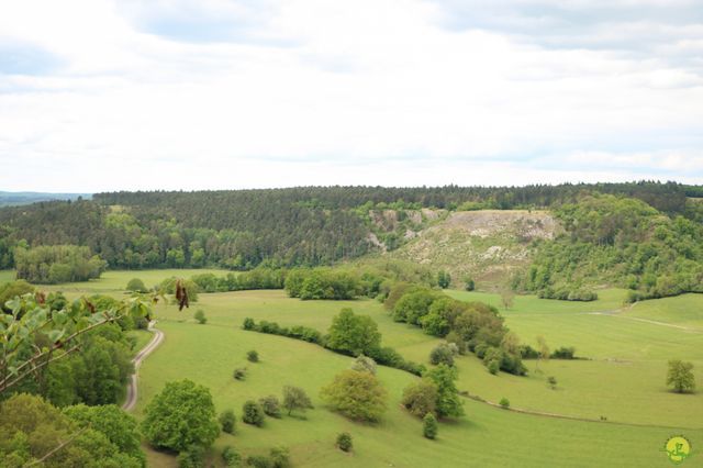 Randonnée joëlettes à Han-sur-Lesse