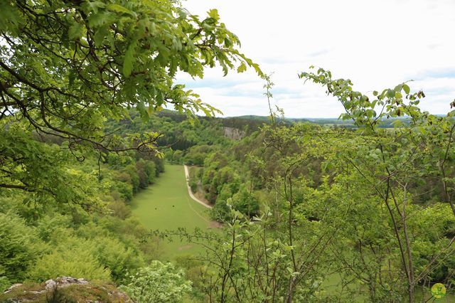 Randonnée joëlettes à Han-sur-Lesse