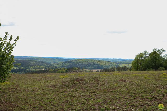 Randonnée joëlettes à Han-sur-Lesse