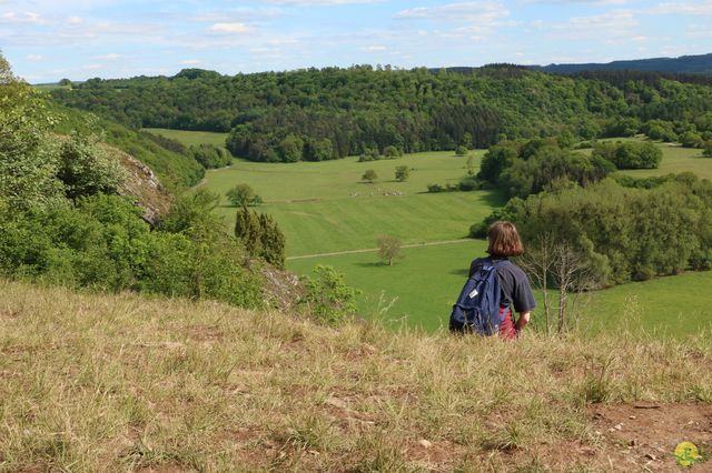 Randonnée joëlettes à Han-sur-Lesse