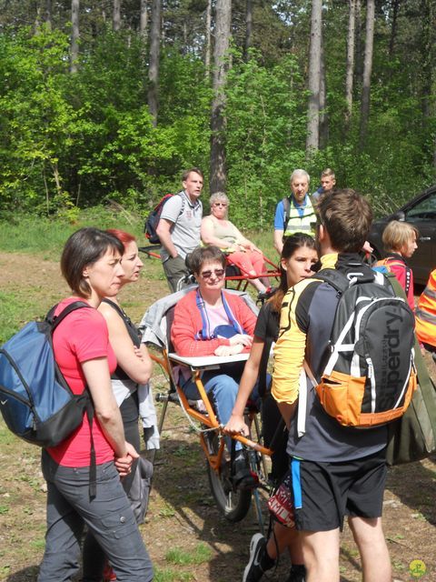 Randonnée joëlettes à Han-sur-Lesse