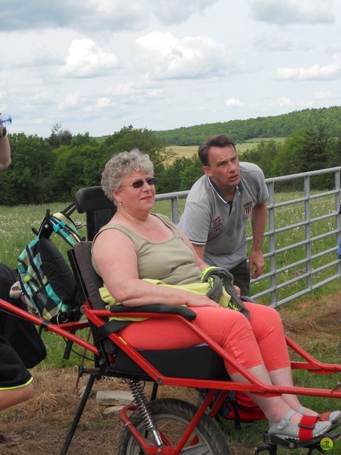 Randonnée joëlettes à Han-sur-Lesse